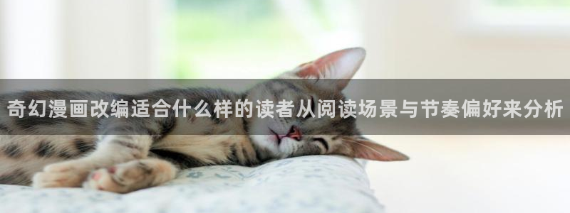 漫画岛网页:奇幻漫画改编适合什么样的读者从阅读场景与节奏偏好来分析
