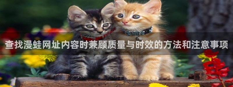 漫画岛首页入口:查找漫蛙网址内容时兼顾质量与时效的方法和注意事项